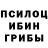 Галлюциногенные грибы Magic Shrooms TON v.2.0