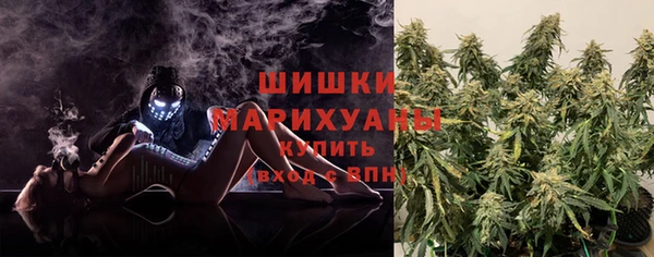 mdpv Медвежьегорск